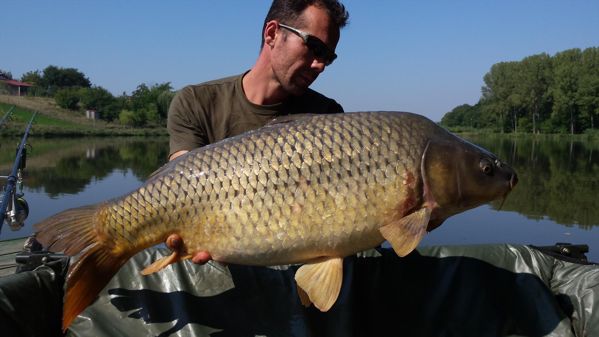 Moara Vlasiei 2 28 - 29 august 2015 - 201508291112251.jpg